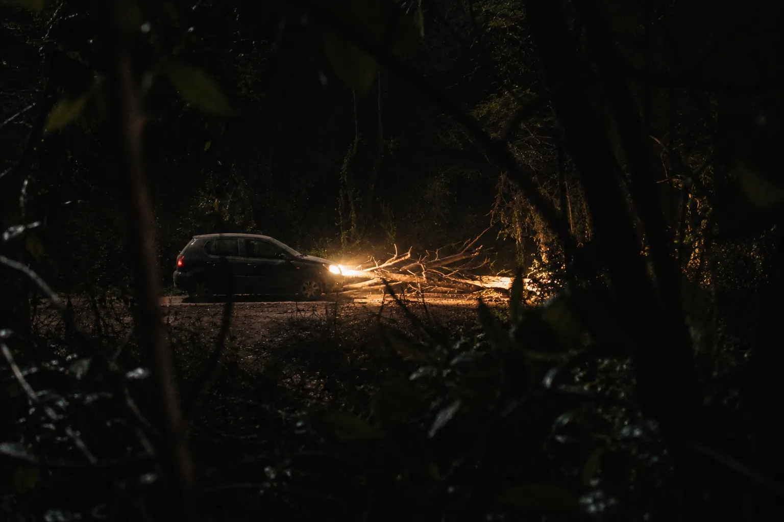 Um carro parado numa estrada de terra bloqueada por árvores caídas, observado de dentro do mato durante a noite.